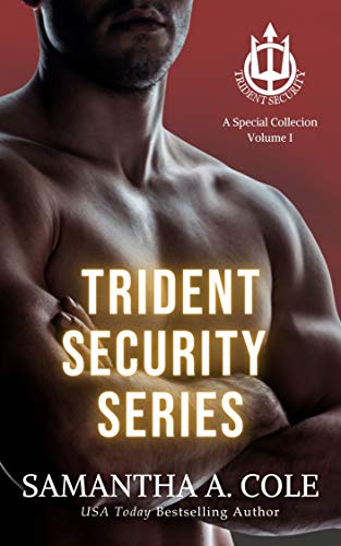 Trident Security Series: A Special Collection: Volume I