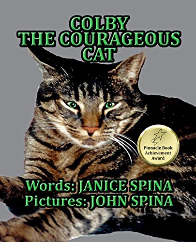 Colby the Courageous Cat