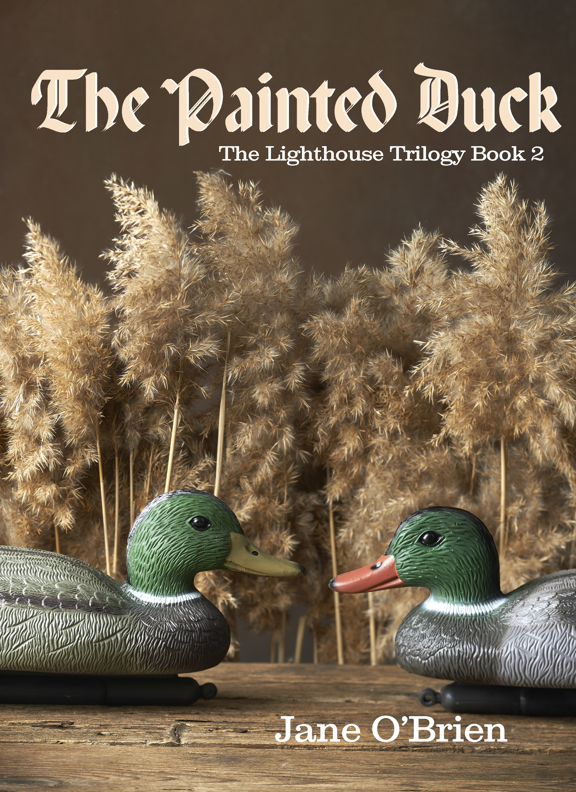 The Painted Duck