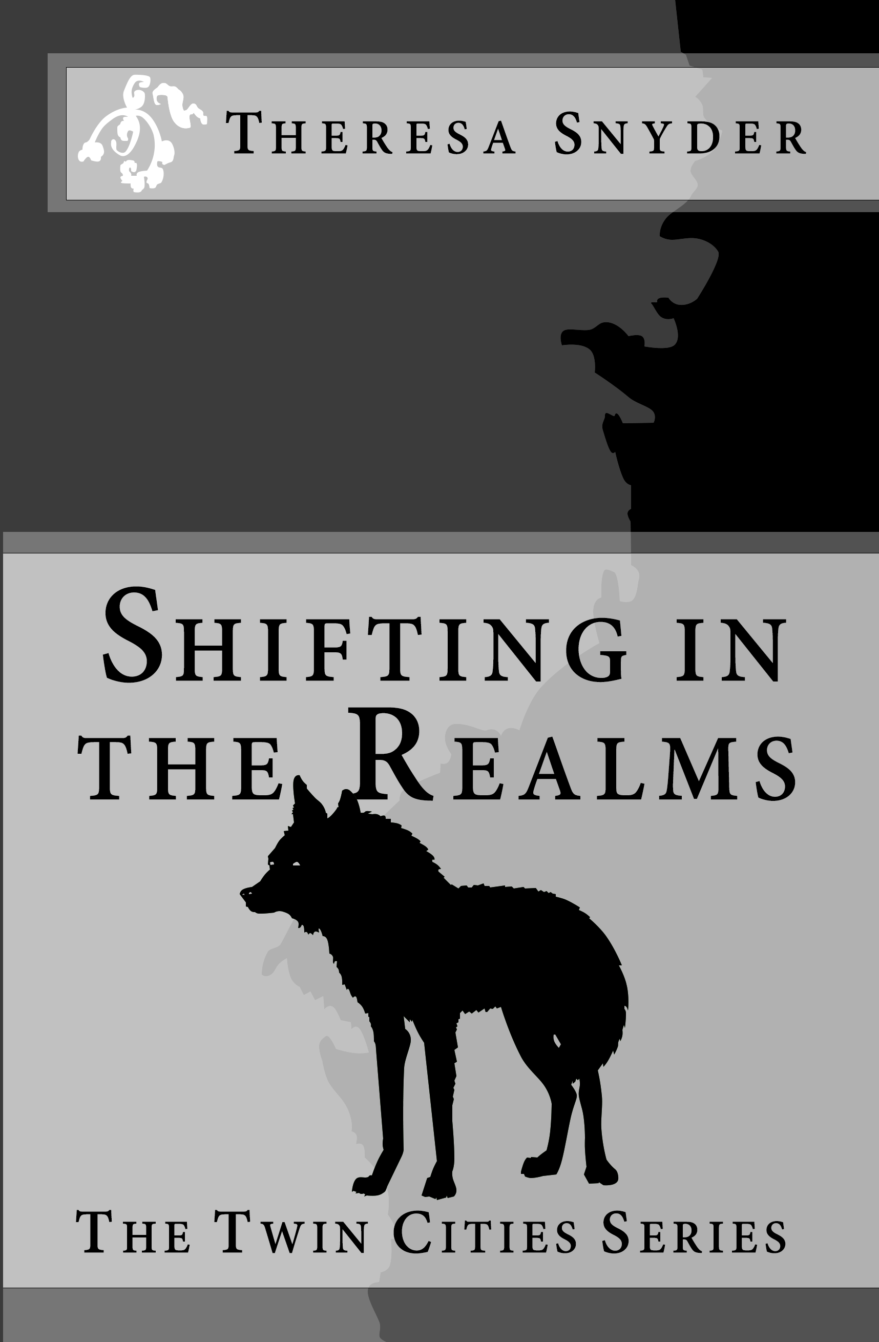 Shifting in The Realms - Book One