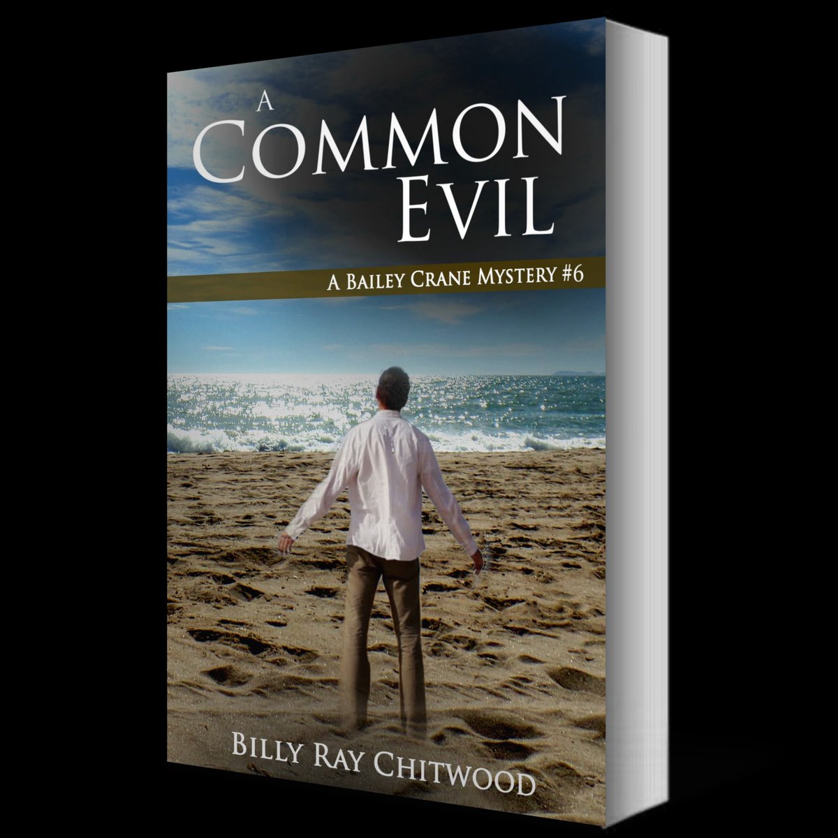 A Common Evil - A Bailey Crane Mystery (#6)