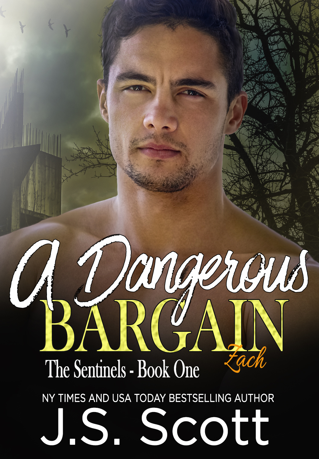 A Dangerous Bargain (The Sentinel Demons, #1)