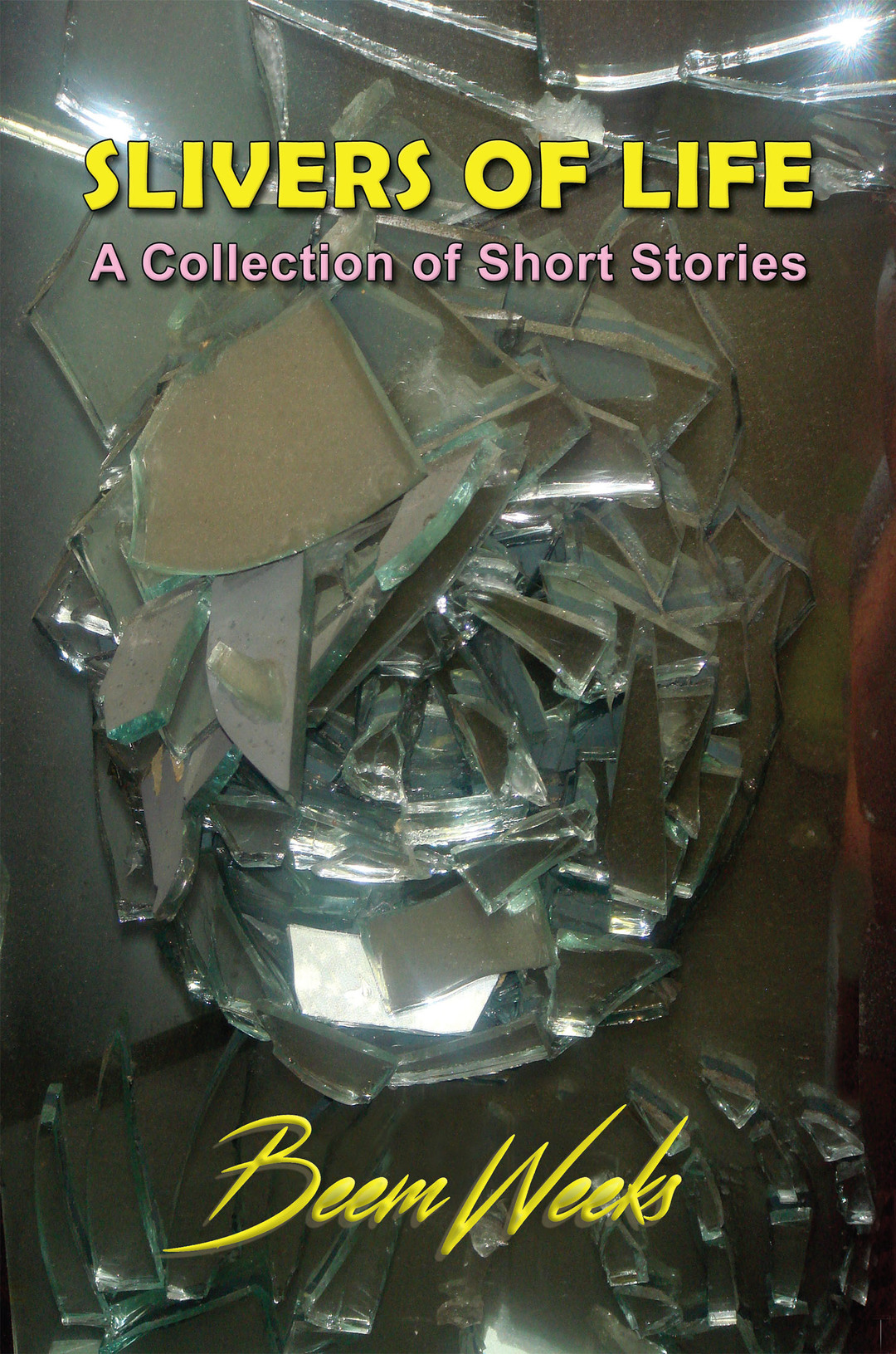 Slivers of Life: A Collection of Short Stories