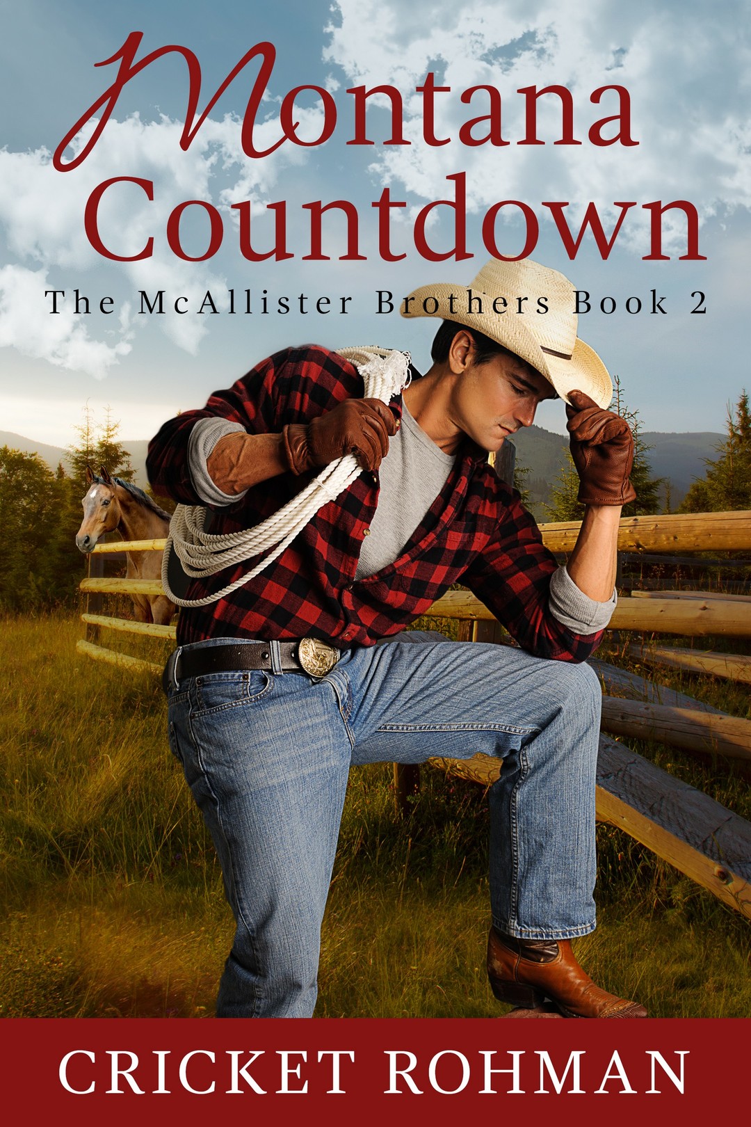 Montana Countdown (The McAllister Brothers Book 2)