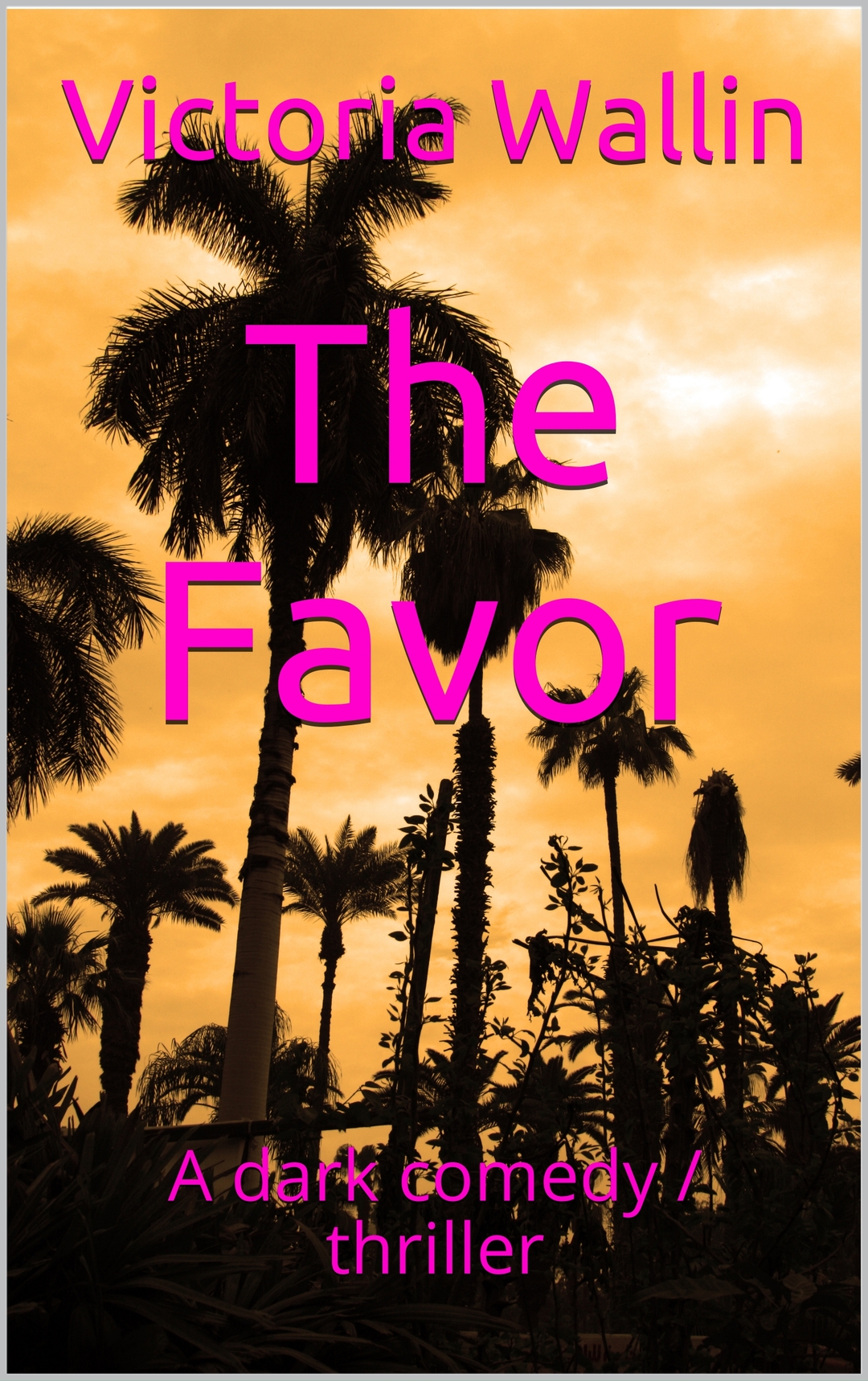 The Favor: An unpredictable dark comedy  action thriller that will have you hooked