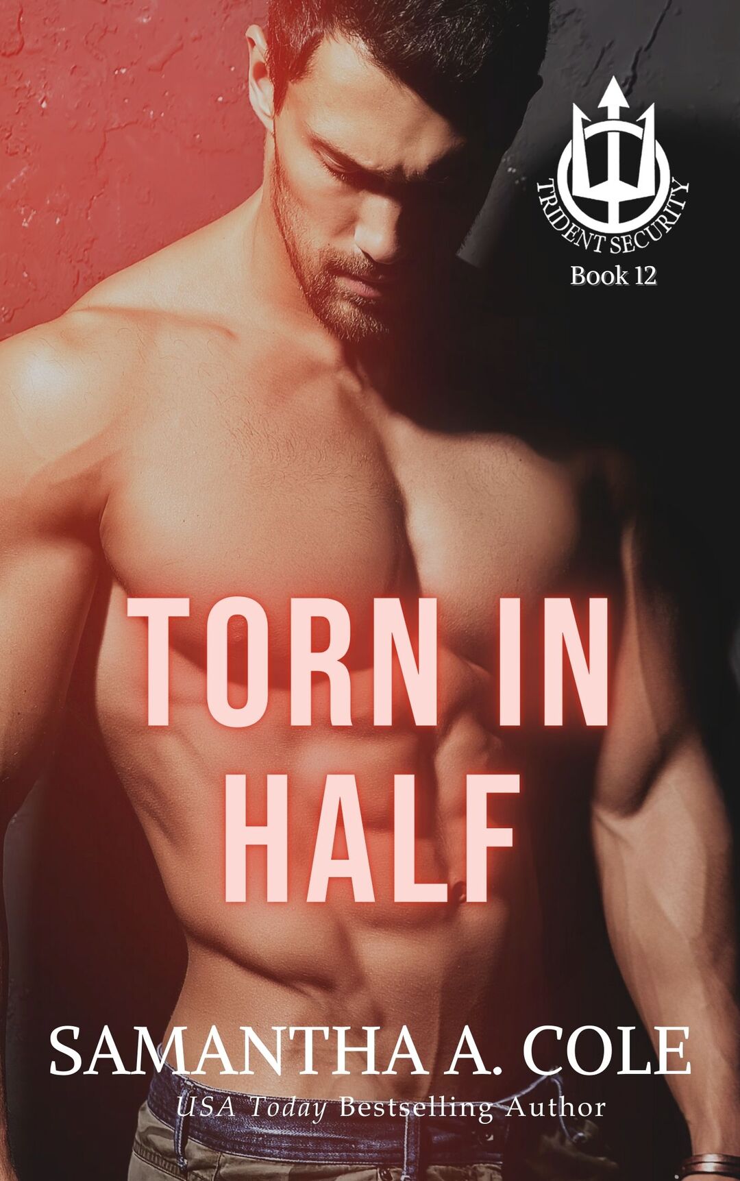 Torn in Half: A Trident Security Novella: Book 12