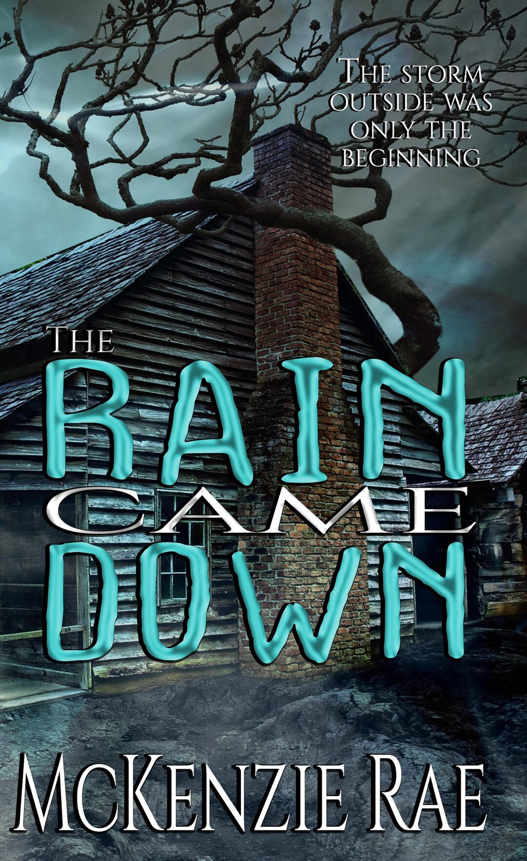 The Rain Came Down