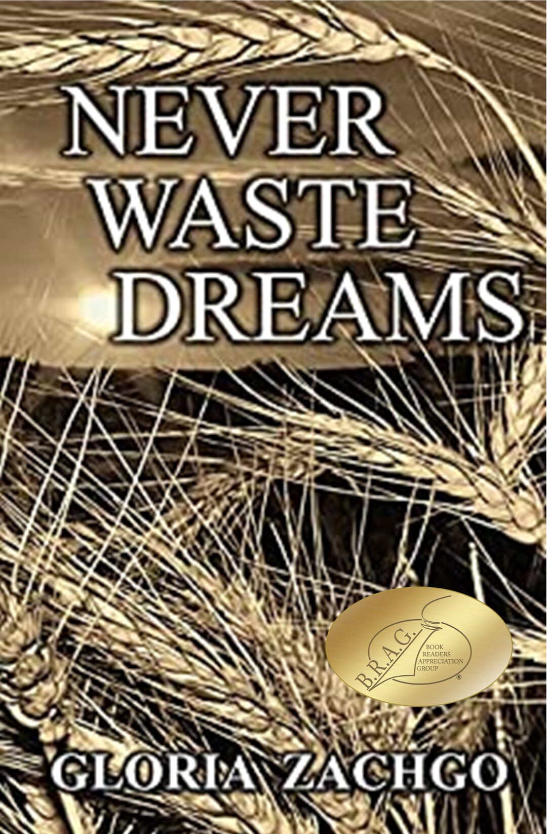 Never Waste Dreams