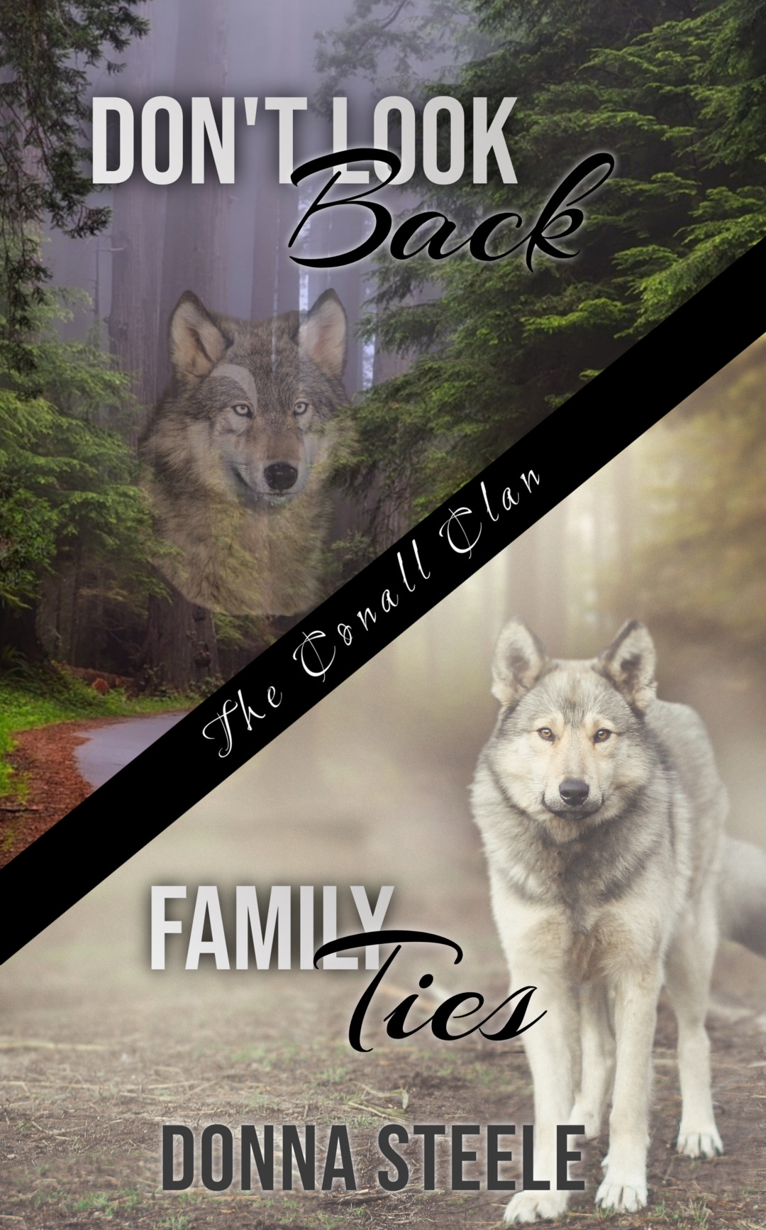 Don't Look BackFamily Ties