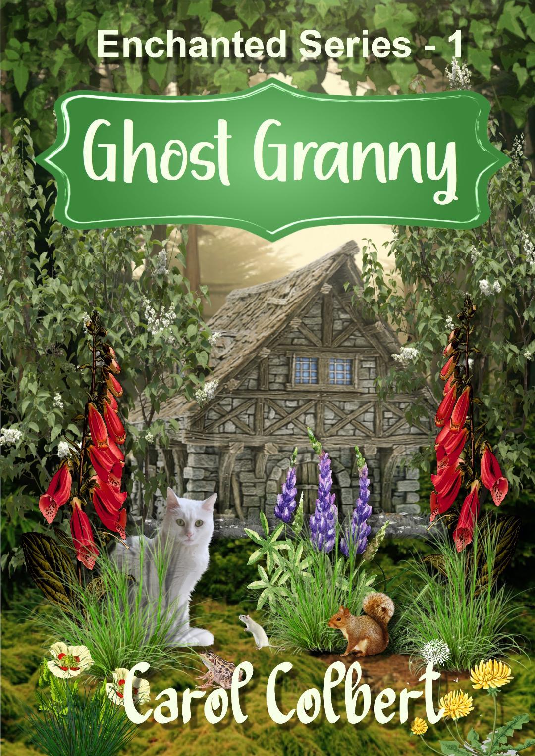 Ghost Granny (Ghost Series  Book 1)