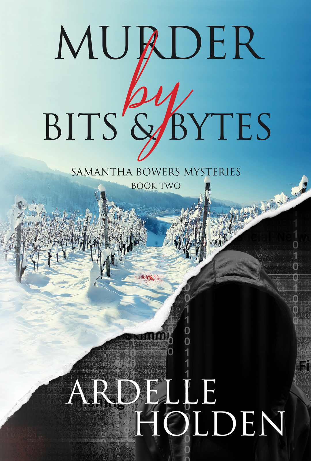 Murder by Bits and Bytes