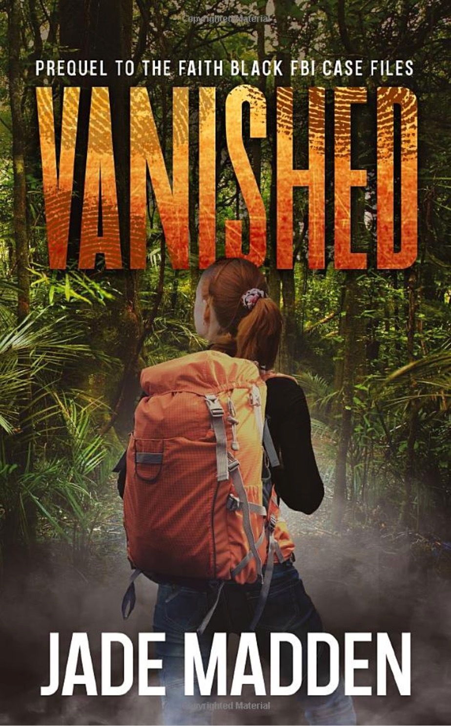 Vanished: Prequel to the Faith Black FBI Case Files Series