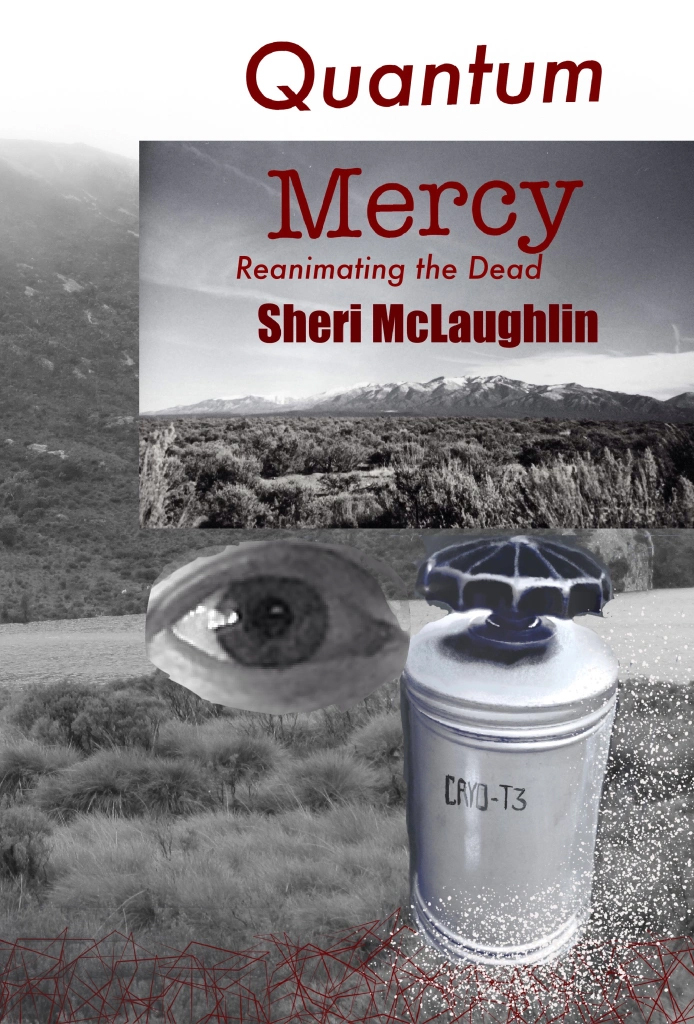 Quantum Mercy: Reanimating the Dead (Mercy Trilogy Book 3)