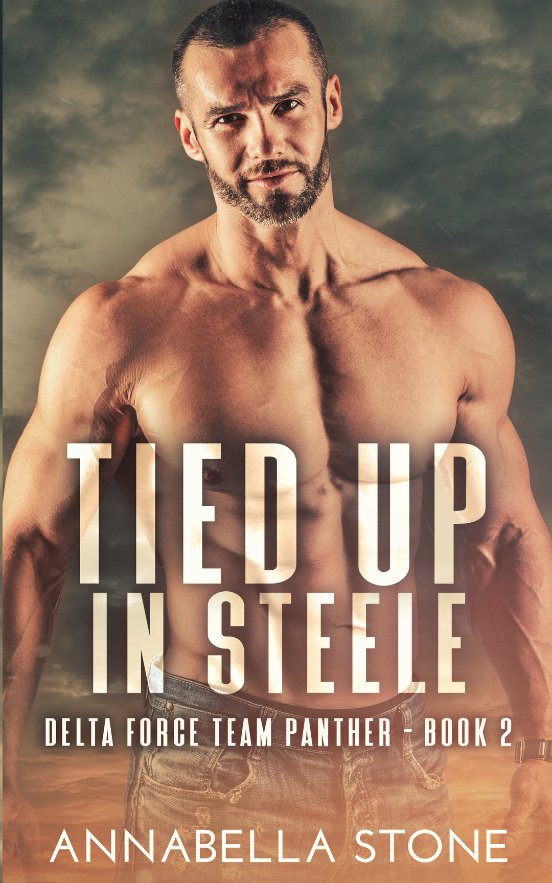 Tied Up In Steele (Delta Force Team Panther Book 2)