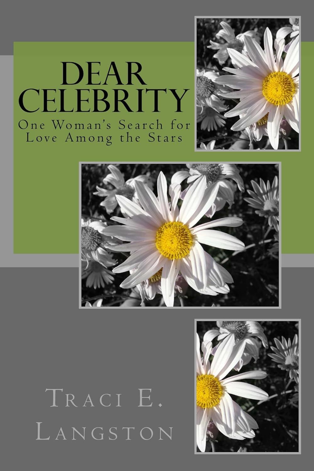 Dear Celebrity - One Woman's Search for Love Among the Stars