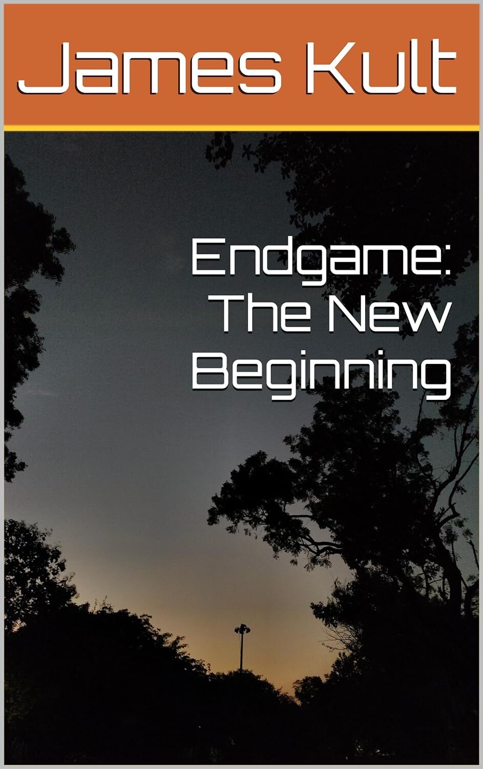 Endgame: The New Beginning