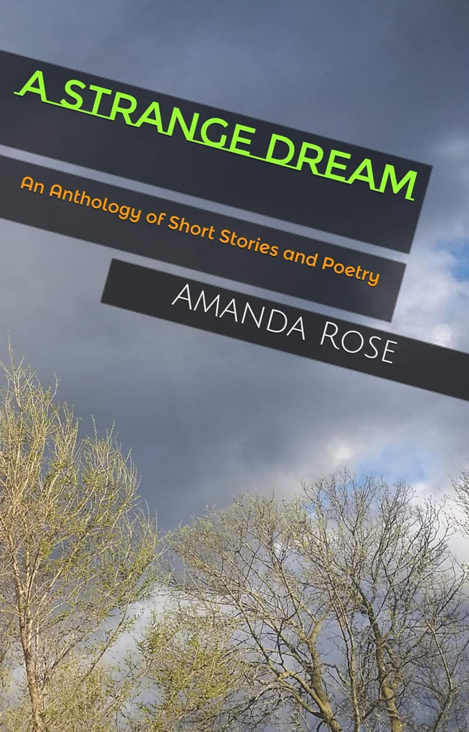 A Strange Dream: An Anthology of Short Stories and Poetry