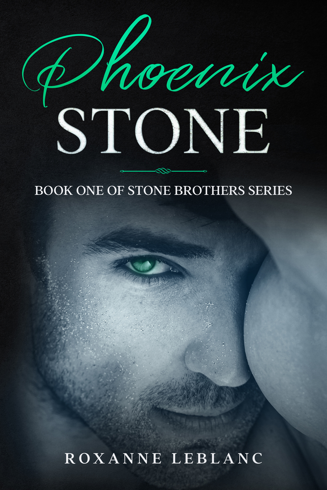 Phoenix Stone, Book One of Stone Brothers Series