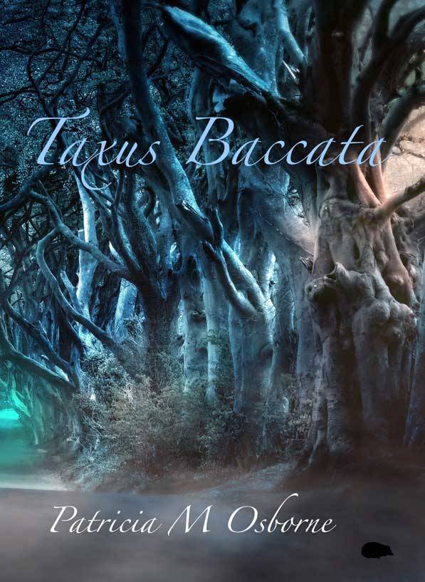 Taxus Baccatta
