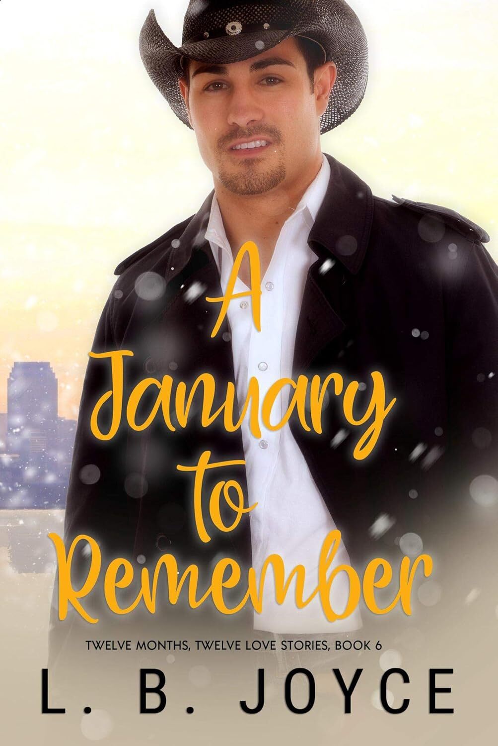 A January to Remember (Book 6 of the Series, Twelve Months, Twelve Love Stories)