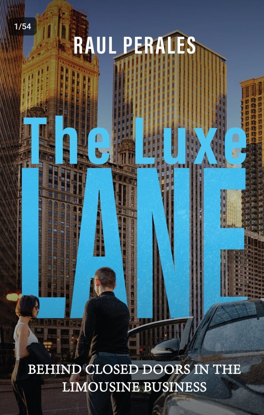 The Lux Lane: BEHIND CLOSED DOORS IN THE LIMOUSINE BUSINESS