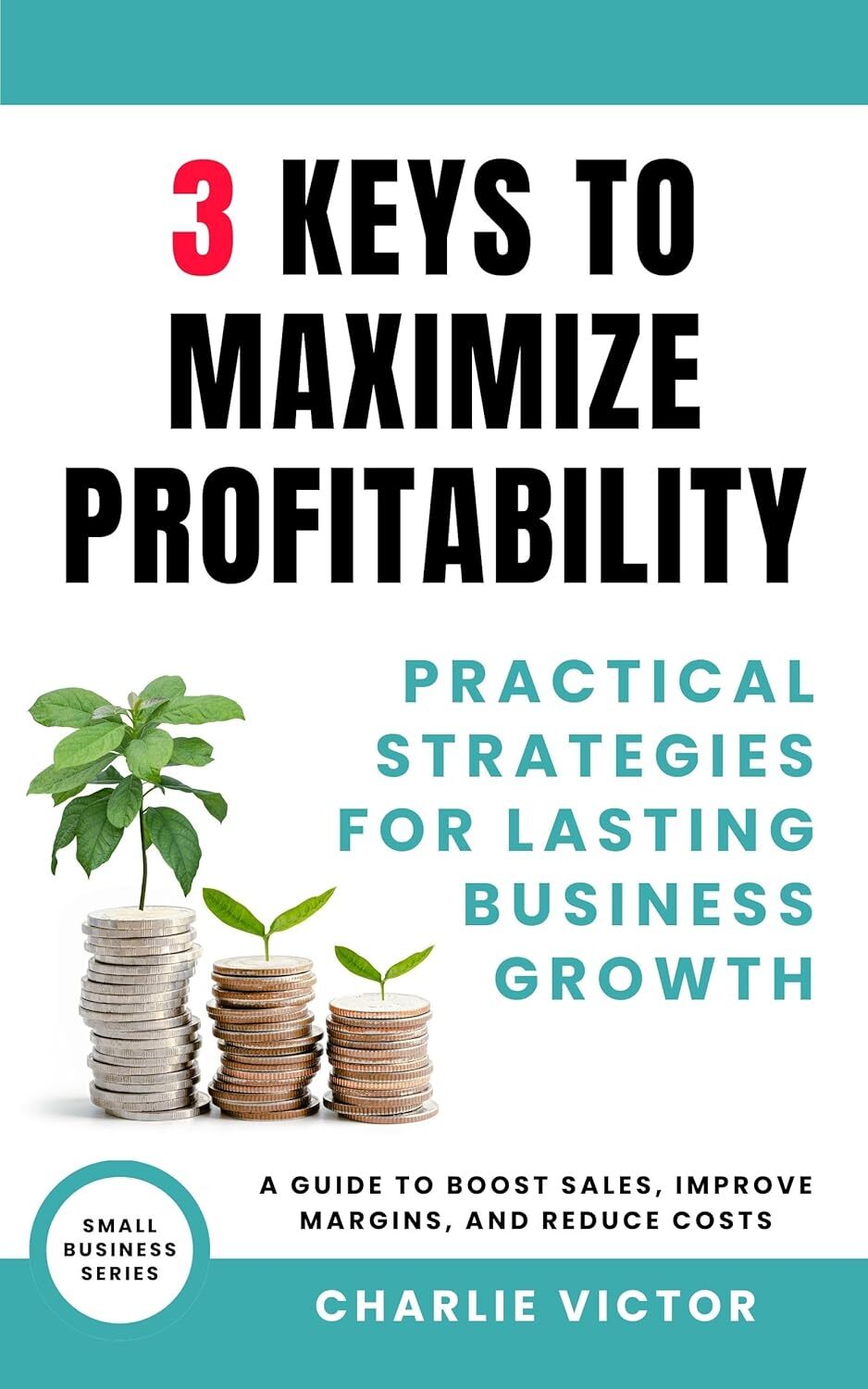 3 Keys to Maximize Profitability - Practical Strategies for Lasting Business Growth: A Guide to Boost Sales, Improve Margins, and Reduce Costs (Small Business Series)
