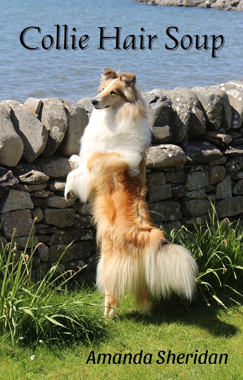 Collie Hair Soup