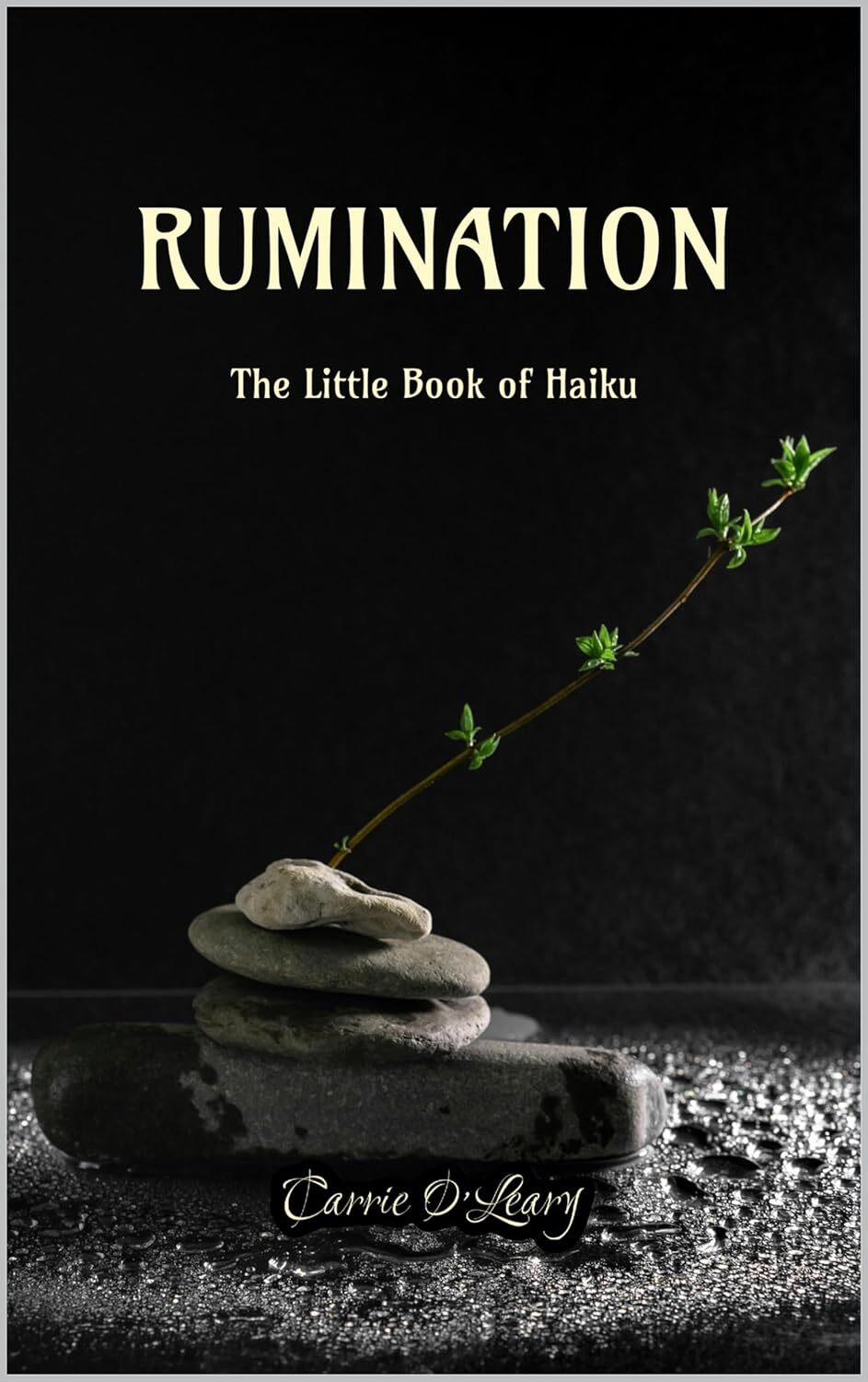 Rumination: The Little Book of Haiku