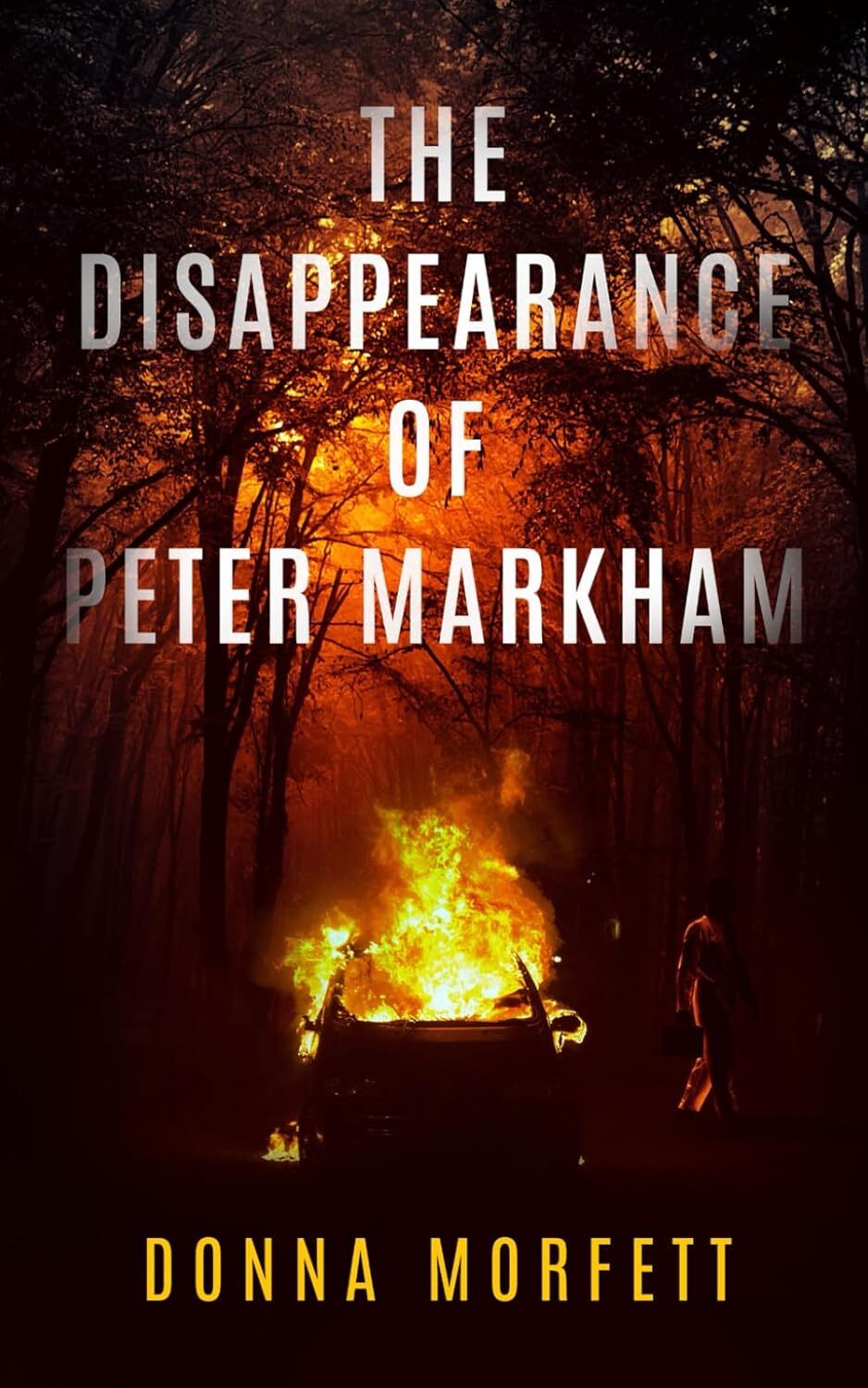 The Disappearance of Peter Markham : First book in a gripping new crime police procedural series. For crime and mystery fans. (DI Cora Snitton detective crime thriller book 1)