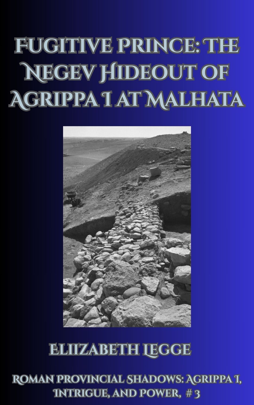 Fugitive Prince: The Negev Hideout of Agrippa I (Roman Provincial Shadows: Agrippa I, Intrigue, and Power Book 3)