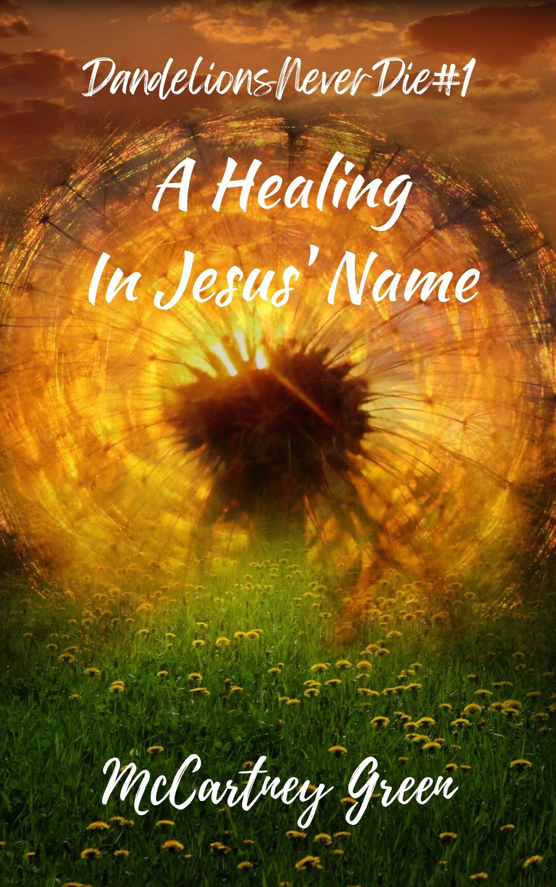 (DND #1) A Healing-In Jesus' Name
