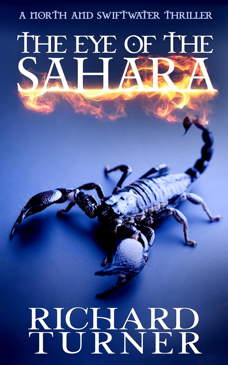 The Eye of the Sahara (A North and Swiftwater Thriller Book 4)