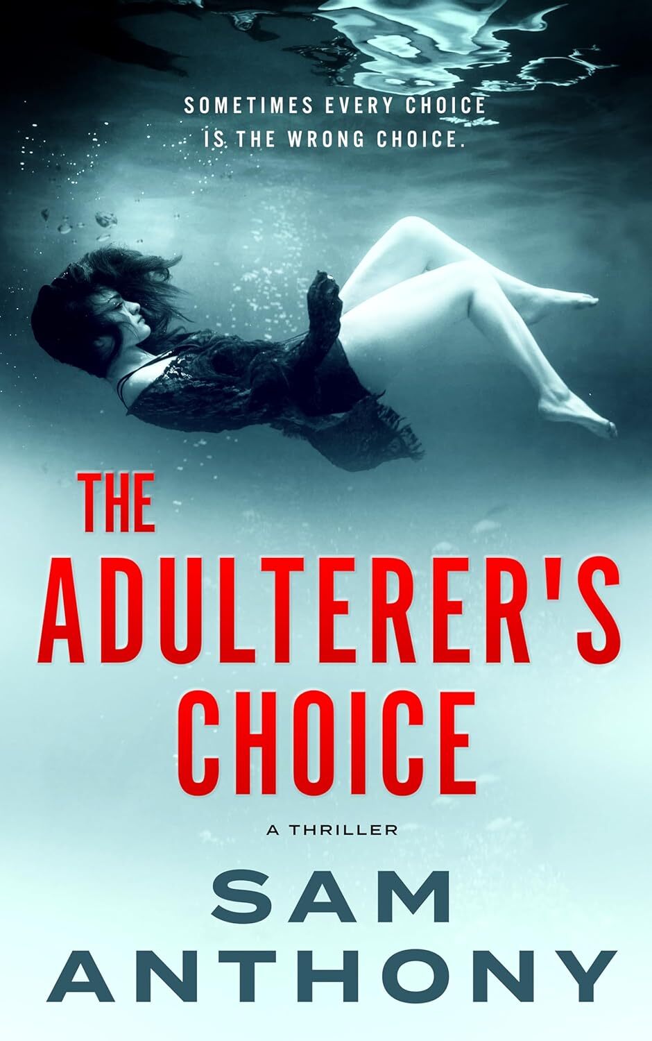 The Adulterer's Choice: A Novel