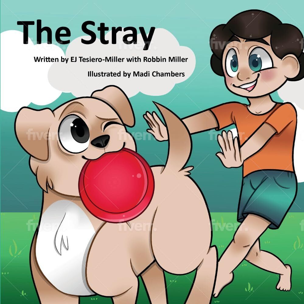 The Stray