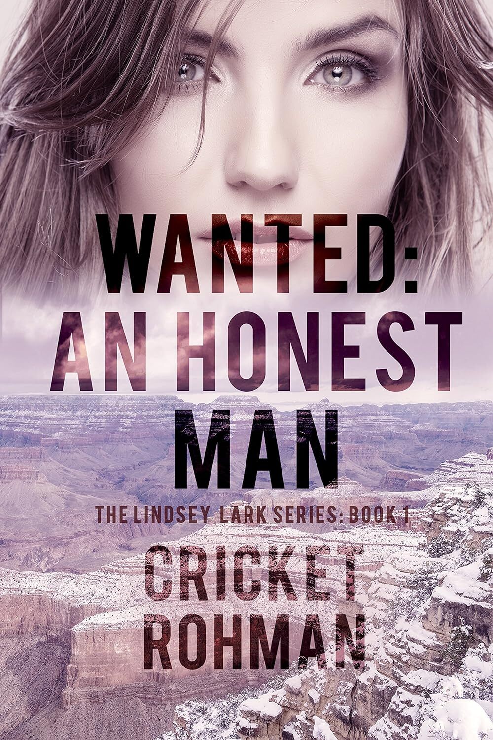 Wanted: An Honest Man (The Lindsey Lark Series Book 1)