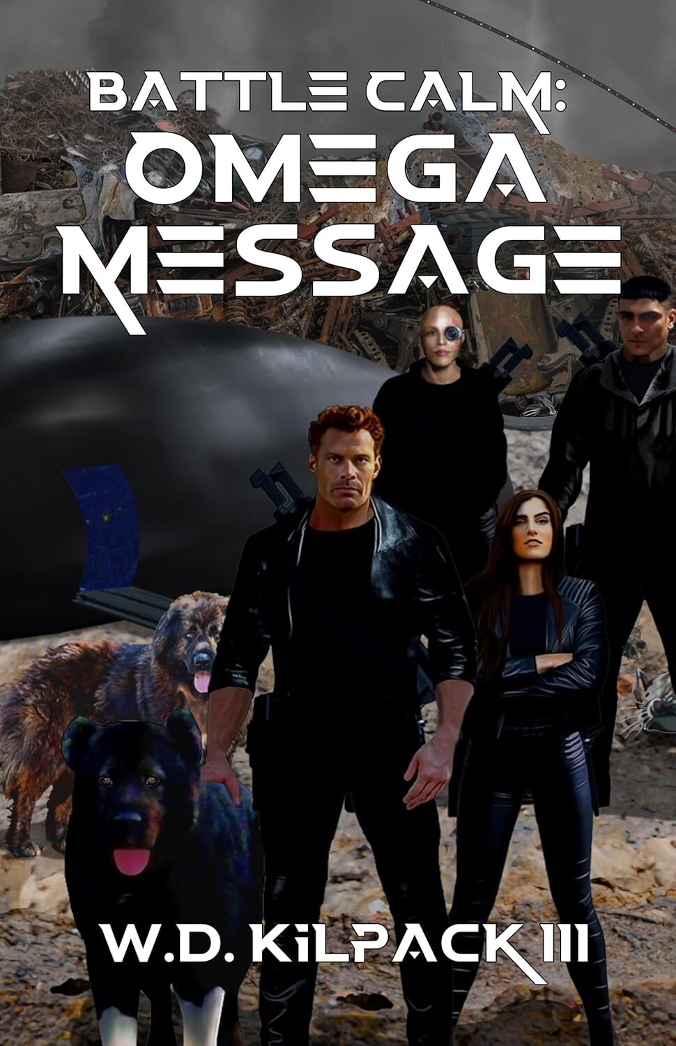 Battle Calm: Omega Message (Battle Calm Cycle Book 2)