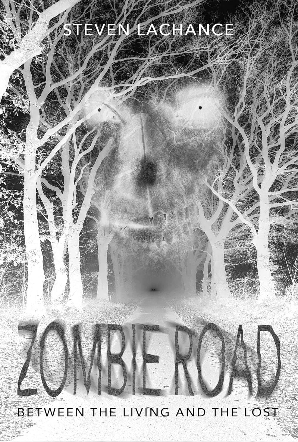 Zombie Road: Between the Living and the Lost