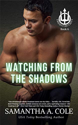 Watching From The Shadows: Trident Security Book 6