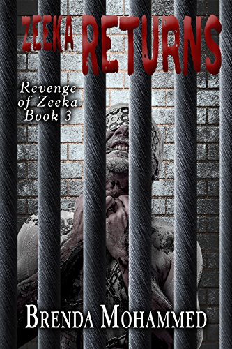 Zeeka Returns (Revenge of Zeeka Book 3)