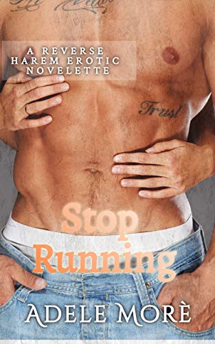 Stop Running: A Reverse Harem Erotic Novelette