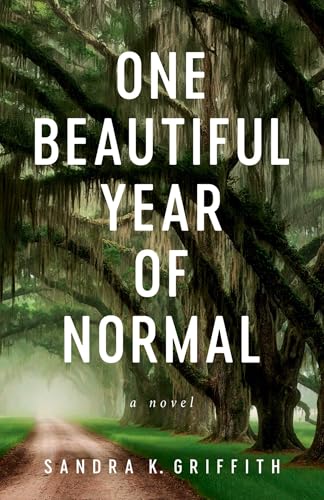 One Beautiful Year of Normal: A Novel