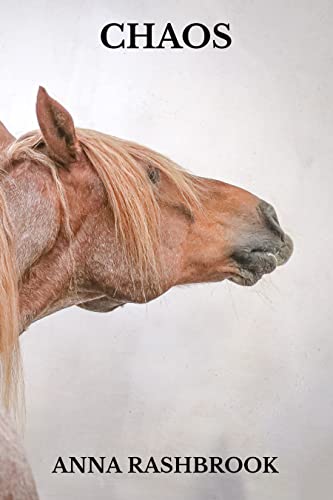 CHAOS (Horses and Souls Book 3)