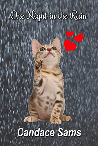 One Night in the Rain