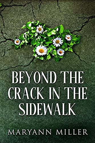 Beyond The Crack In The Sidewalk