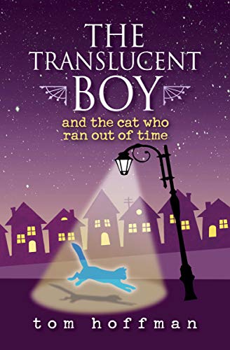The Translucent Boy and the Cat Who Ran Out of Time