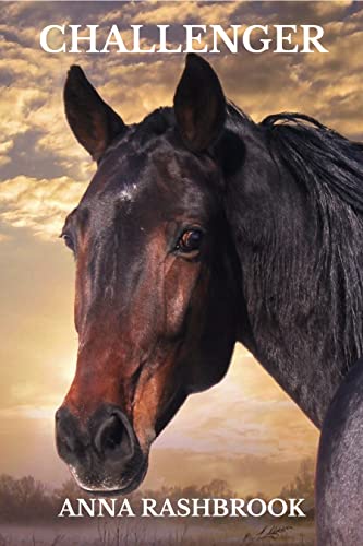 CHALLENGER (Horses and Souls Book 1)