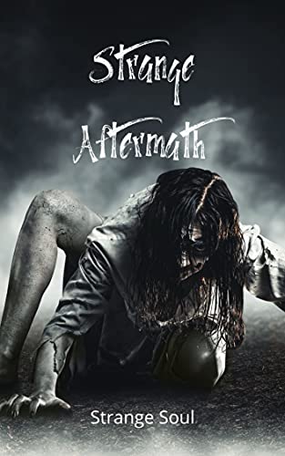 Strange Aftermath: This journey will be a tough walk (Strange Series Book 1)