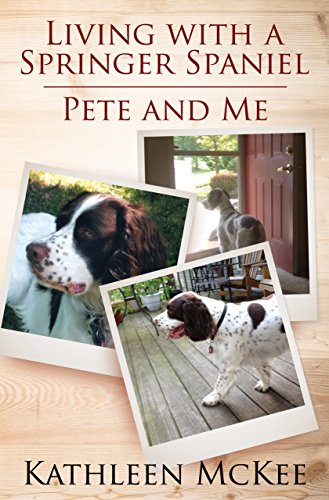 Living With a Springer Spaniel: Pete and Me