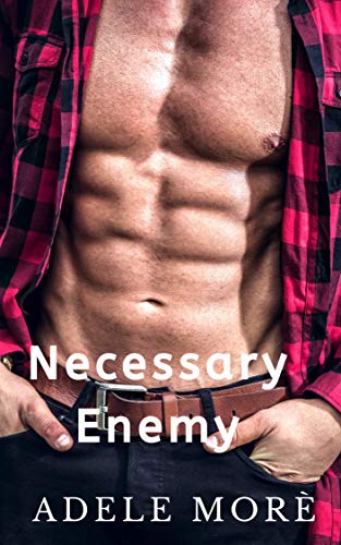 Necessary Enemy: An Enemies to Lovers Stand Alone Romance