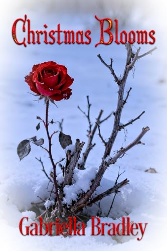 Christmas Blooms